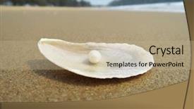  Presentation with goa beach - Theme consisting of shell on the sandy beach background and a coral colored foreground