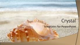  Presentation with shell - Beautiful PPT theme featuring shell on the sandy beach backdrop and a lemonade colored foreground