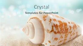  Presentation with sea shell - Theme featuring shell-on-the-sea-shore background and a sky blue colored foreground
