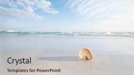  Presentation with florida beach - Presentation design having shell on white florida beach background and a soft green colored foreground