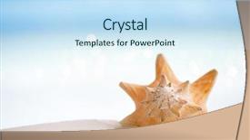  Presentation with cuban - Presentation theme with shell on white florida beach background and a sky blue colored foreground