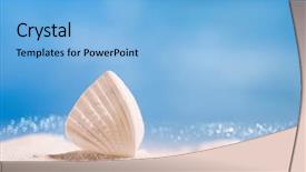  Presentation with florida beach - PPT theme having shell on white florida beach background and a light blue colored foreground
