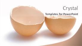  Presentation with shell - PPT theme enhanced with shell one brown egg's background and a white colored foreground
