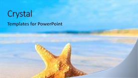  Presentation with sea shell - Colorful presentation design enhanced with shell sea star backdrop and a cyan colored foreground