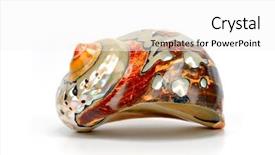  Presentation with seashell - Slide deck featuring shell snail - seashell isolated on white background background and a white colored foreground