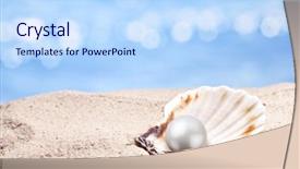  Presentation with sea shell - Beautiful PPT theme featuring shell with a pearl backdrop and a sky blue colored foreground