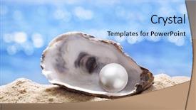  Presentation with sea shell - Colorful PPT theme enhanced with shell with a pearl backdrop and a light blue colored foreground