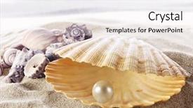  Presentation with shell - Colorful PPT layouts enhanced with shell with a pearl backdrop and a white colored foreground