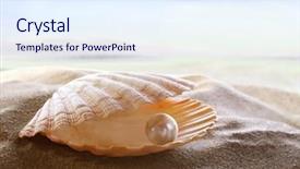  Presentation with shell - Slides with shell with a pearl background and a sky blue colored foreground