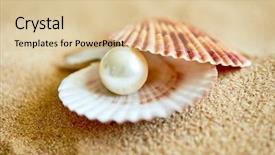 Presentation with pearl - Beautiful theme featuring shell with a pearl backdrop and a lemonade colored foreground