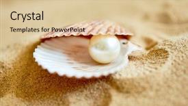  Presentation with shell - PPT layouts featuring shell with a pearl background and a lemonade colored foreground