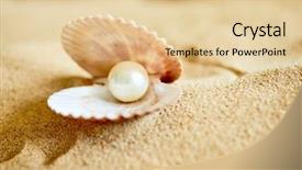  Presentation with pearl - Slides having shell with a pearl background and a  colored foreground