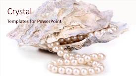  Presentation with pearl - Audience pleasing theme consisting of shell with pearls isolated backdrop and a sky blue colored foreground