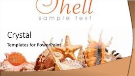  Presentation with shell - Audience pleasing PPT layouts consisting of shell backdrop and a sky blue colored foreground