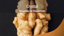  Presentation with walnut - Colorful PPT theme enhanced with shelled-walnut-on-black-background backdrop and a black colored foreground