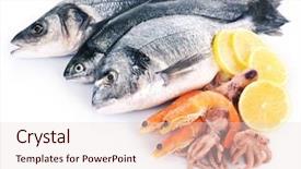  Presentation with shellfish - Cool new theme with shellfish - fresh mediterranean cocktail of fish backdrop and a lemonade colored foreground