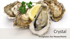  Presentation with shellfish - Slides with shellfish - fresh oysters isolated on white background and a mint green colored foreground
