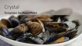  Presentation with shellfish - Slide deck having shellfish-raw-mussels-in-ceramic background and a light gray colored foreground