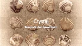  Presentation with sea shells - Theme consisting of shells against burlap canvas sepia background and a coral colored foreground
