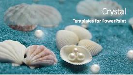 Presentation with shells - PPT theme enhanced with shells and pearls isolated background and a teal colored foreground
