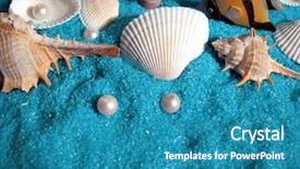  Presentation with pearl oyster - Presentation theme enhanced with shells and pearls background and a  colored foreground