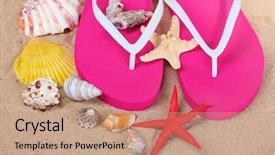  Presentation with ballerina shoes bear - Audience pleasing slides consisting of shells and starfish on sand backdrop and a coral colored foreground
