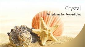  Presentation with shells - 
