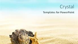  Presentation with shells - 