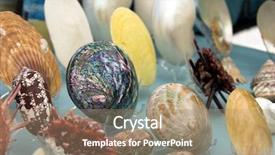  Presentation with sea shell - Colorful presentation design enhanced with shells at a flea market backdrop and a coral colored foreground