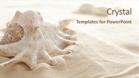  Presentation with shell - Colorful PPT layouts enhanced with shells beach - big shell backdrop and a cream colored foreground