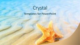  Presentation with fish grill there are fish - Presentation theme featuring shells beach - landscape sand fish background and a light blue colored foreground