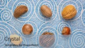  Presentation with macadamia nuts - Theme enhanced with shells brazilian pecan english walnut background and a light blue colored foreground