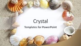  Presentation with beach frame - Cool new slide deck with shells frame composition over beach backdrop and a white colored foreground