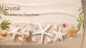  Presentation with sea shells - Presentation design with shells on sand summer beach background and a lemonade colored foreground