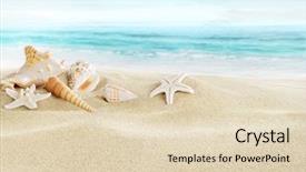  Presentation with shells - Cool new presentation theme with shells on sandy beach backdrop and a lemonade colored foreground