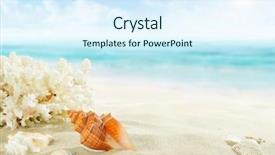  Presentation with shells - Presentation having shells on sandy beach background and a cool aqua colored foreground
