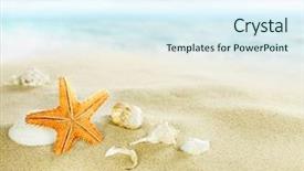  Presentation with shells - Slides enhanced with shells on sandy beach background and a sky blue colored foreground