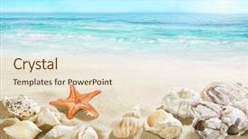  Presentation with shells - Theme enhanced with shells on the beach background and a lemonade colored foreground