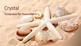  Presentation with fish beach - Amazing theme having shells on the beach backdrop and a lemonade colored foreground