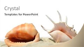  Presentation with shells - Presentation theme having shells on the sand isolated on white background background and a white colored foreground