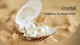  Presentation with shells - Slide set with shells on the sand background and a coral colored foreground