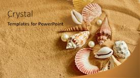  Presentation with shells - PPT theme having shells on the sand background and a gold colored foreground