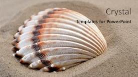  Presentation with shells - Slides enhanced with shells-on-the-sand background and a coral colored foreground