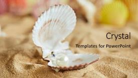  Presentation with shell - Theme having shells on the sand background and a coral colored foreground