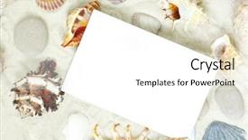  Presentation with shells - Theme with shells background and a white colored foreground