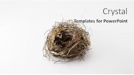  Presentation with concept - Presentation design enhanced with shelter-and-care-concept background and a white colored foreground