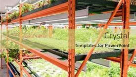  Presentation with plants growing - Colorful presentation design enhanced with shelves-with-green-seedlings backdrop and a yellow colored foreground
