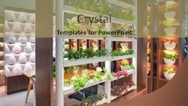  Presentation with exhibition - Presentation design consisting of shenzhen-china-circa-april-2019 background and a coral colored foreground