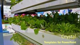  Presentation with tech - Colorful PPT theme enhanced with shenzhen-china-circa-november-2019 backdrop and a tawny brown colored foreground