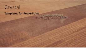  Presentation with kazakhstan - PPT theme having shepherd-with-herd-of-cattle background and a coral colored foreground